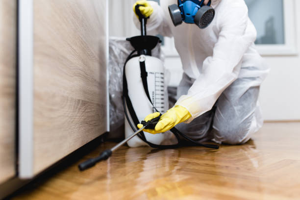 Best Commercial Pest Control Services  in Lacoste, TX