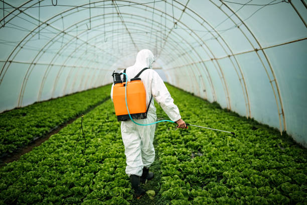 Pest Control for Restaurants in Lacoste, TX