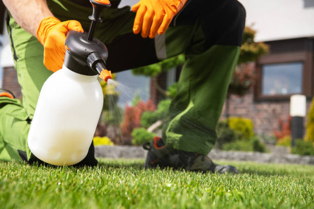 Best Mosquito Control Services  in Lacoste, TX