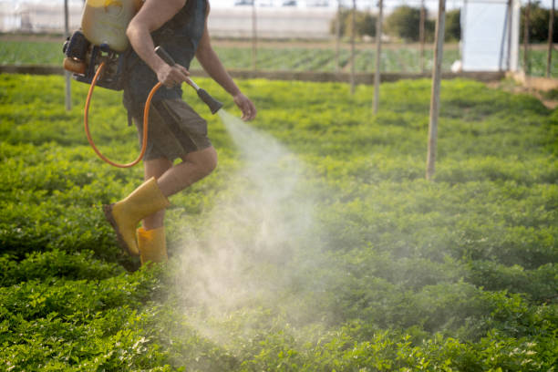 Best Pest Control Near Me  in Lacoste, TX