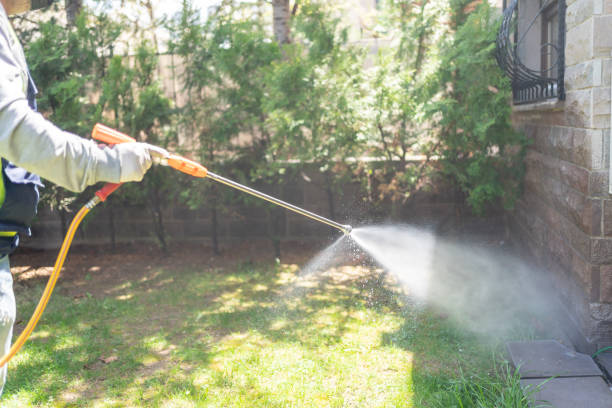 Best Flea Control Services  in Lacoste, TX