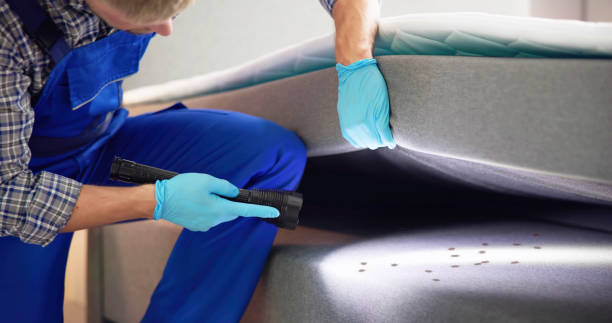 Best Affordable Pest Control Services  in Lacoste, TX