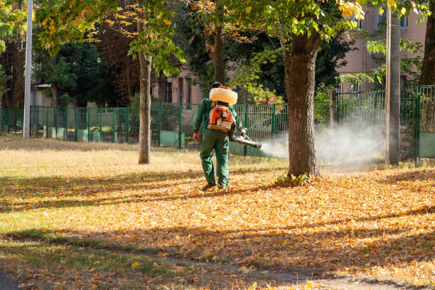 Best Best Pest Control Companies  in Lacoste, TX