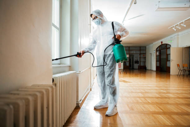 Best Residential Pest Control  in Lacoste, TX