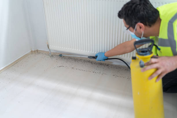 Best Emergency Pest Control  in Lacoste, TX